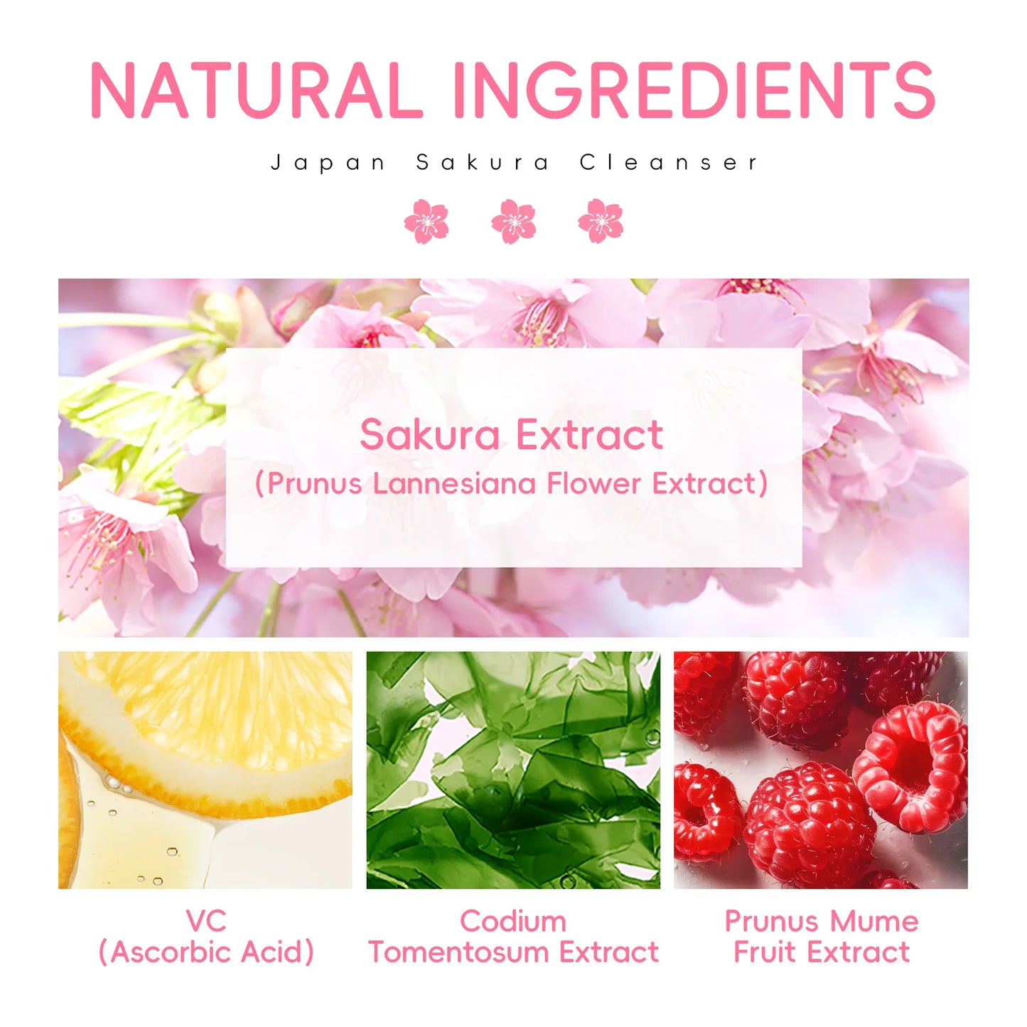 LAIKOU Sakura Facial Cleanser