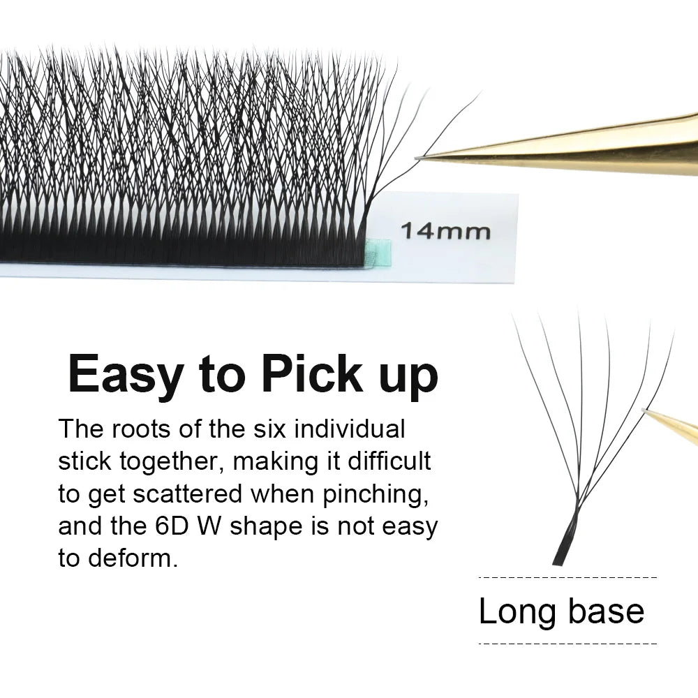 6D W Shape Lashes