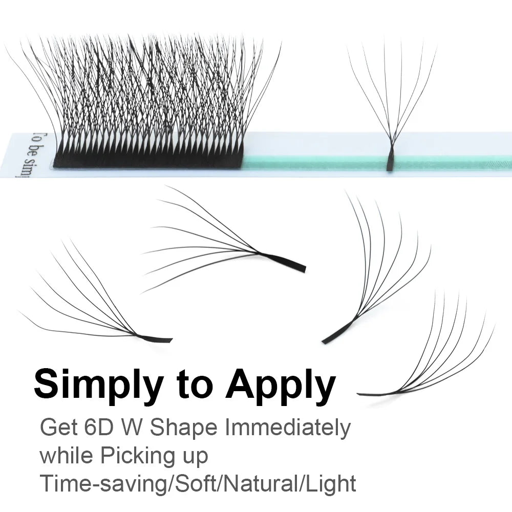 6D W Shape Lashes