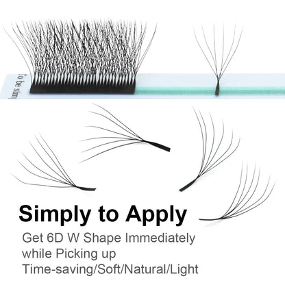 6D W Shape Lashes