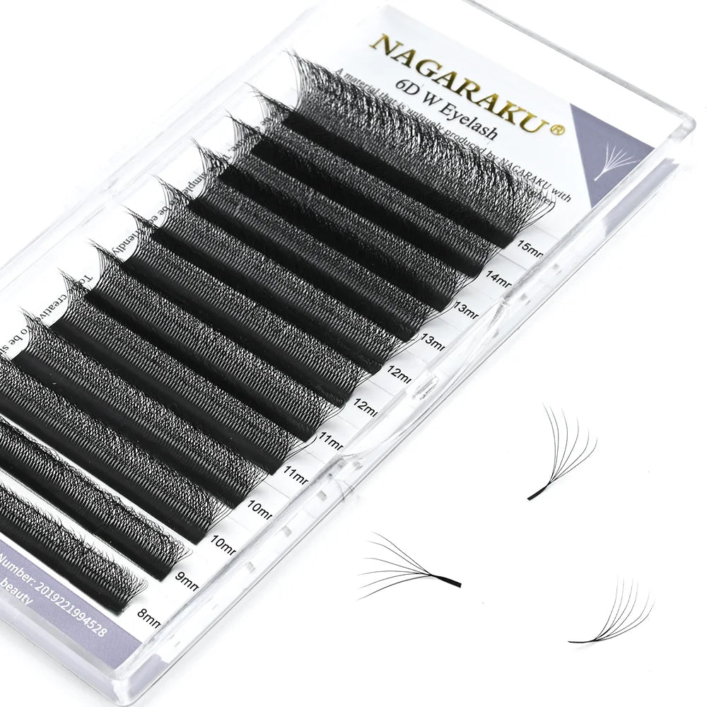 6D W Shape Lashes