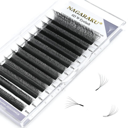 6D W Shape Lashes
