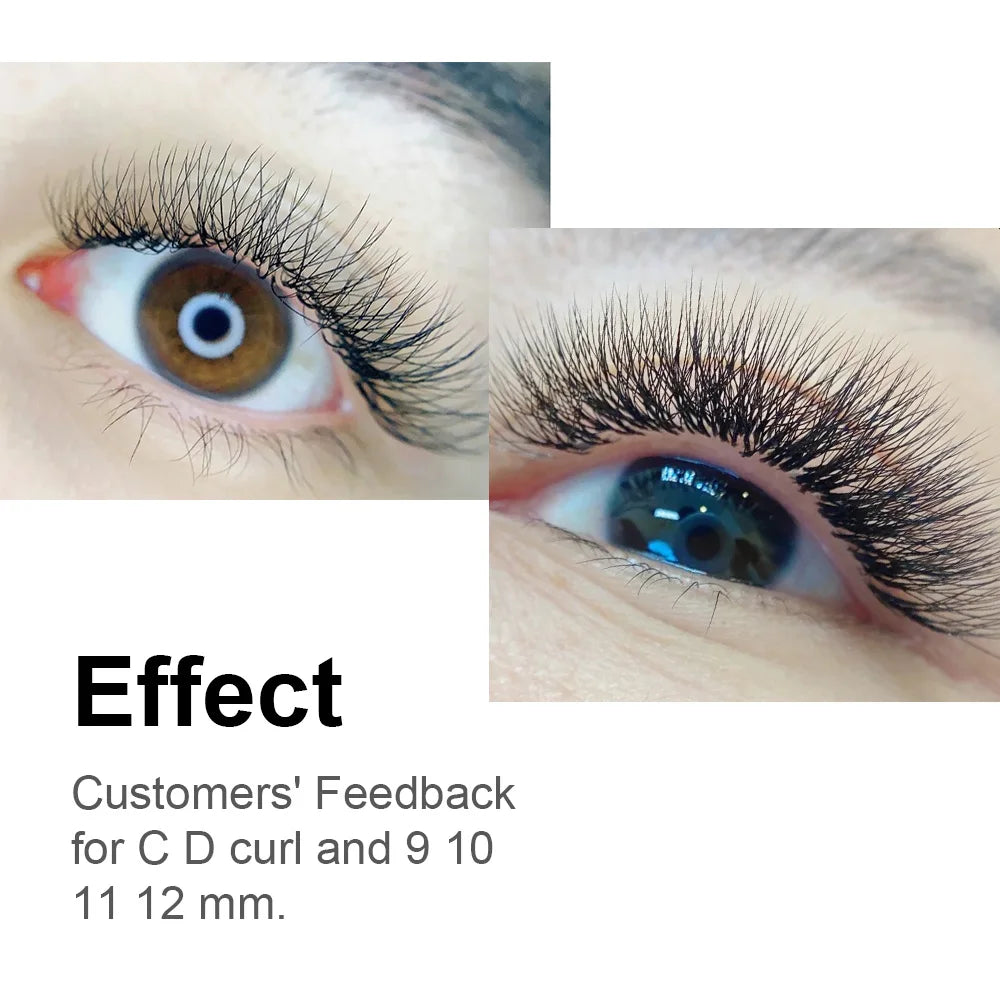 6D W Shape Lashes